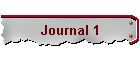 Journal 1